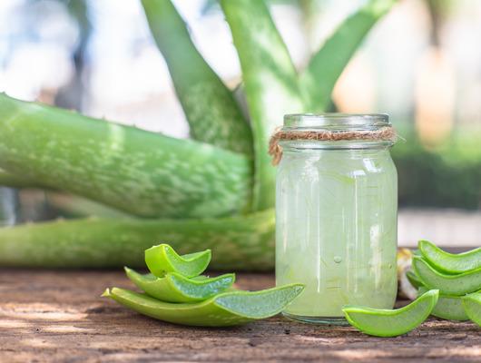 Cilt lekeleri için aloe vera maskesi tarifi