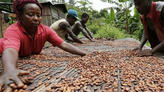 Kakao fiyatlarında sert yükseliş: Yeniden 10 bin dolara dayandı