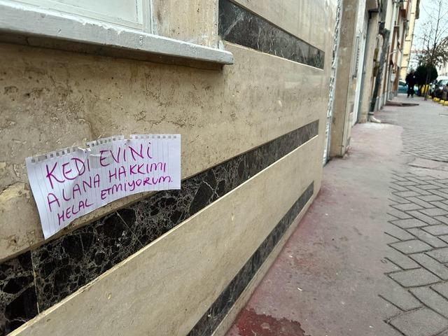 Kedi evi çalınınca sokağa astığı yazıyla dikkat çekti