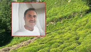 Kafkas engereği kabusu: Hastane hastane panzehir aradılar!