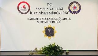Yer: Samsun! Evde kurdukları serada kenevir yetiştiren 2 kişi gözaltına alındı