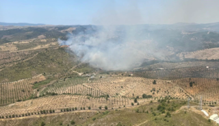 Seferihisar'da orman yangını! Ekipler bölgede