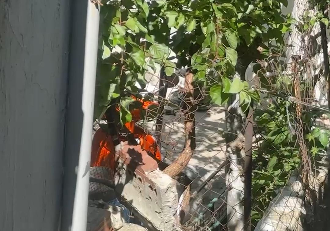 Ekran görüntüsü 2025-06-09 180337